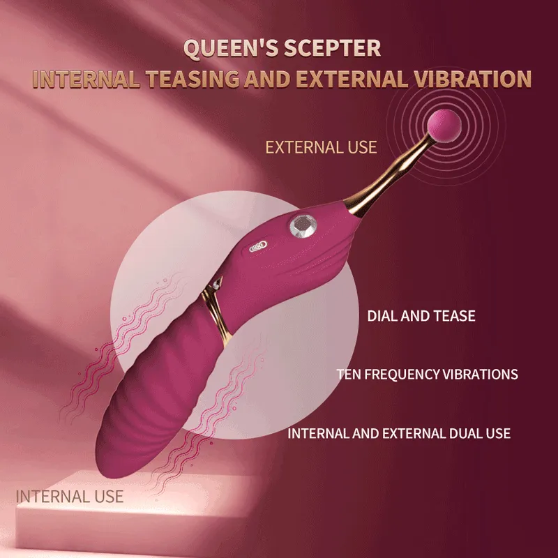 2-In-1 Female Vibrator Sex Toy