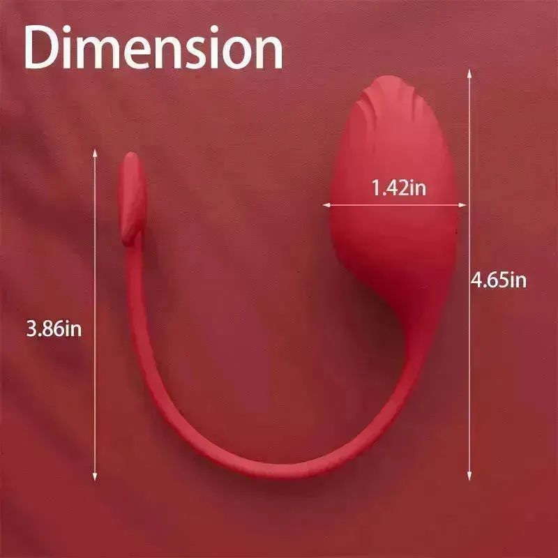 App Controlled Vibrating Egg Sex Toy