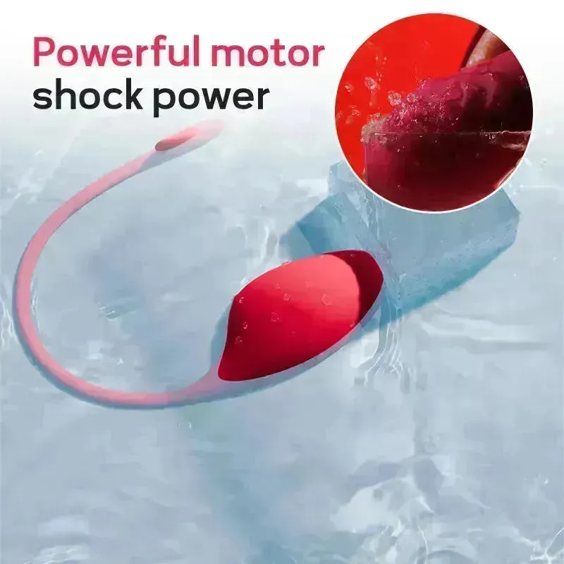 App Controlled Vibrating Egg Sex Toy