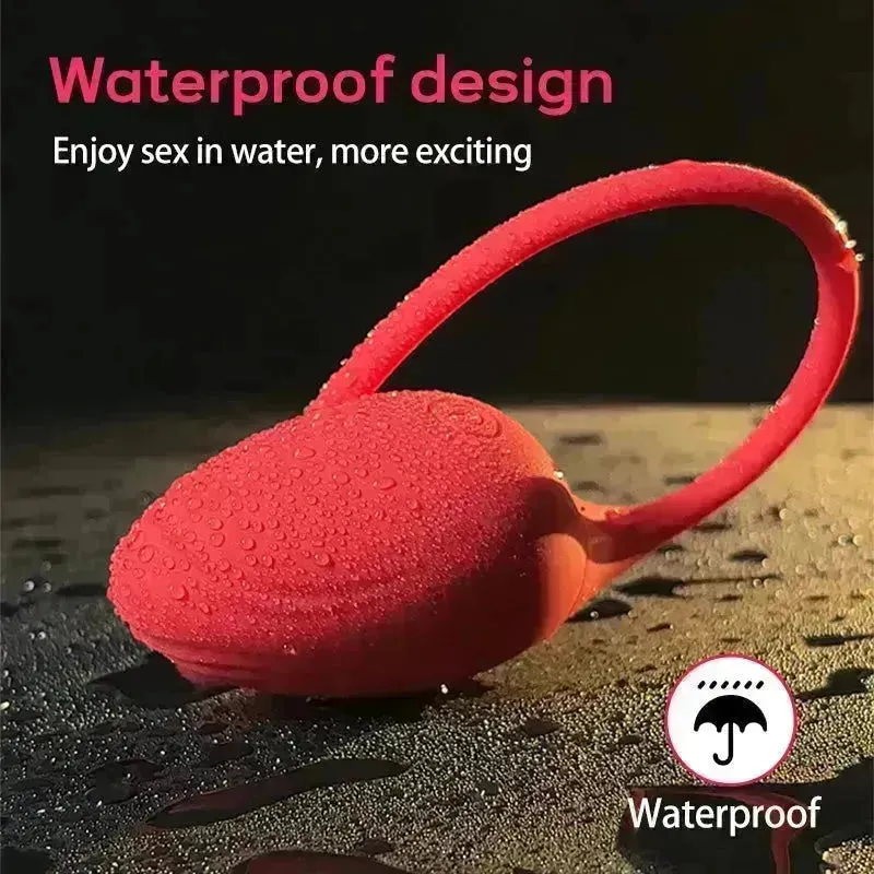 App Controlled Vibrating Egg Sex Toy