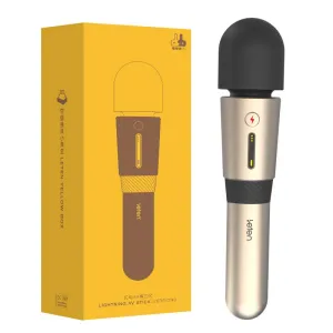 Leten - 3rd Generation Lightning Heating AV Wand Massager (Gold)