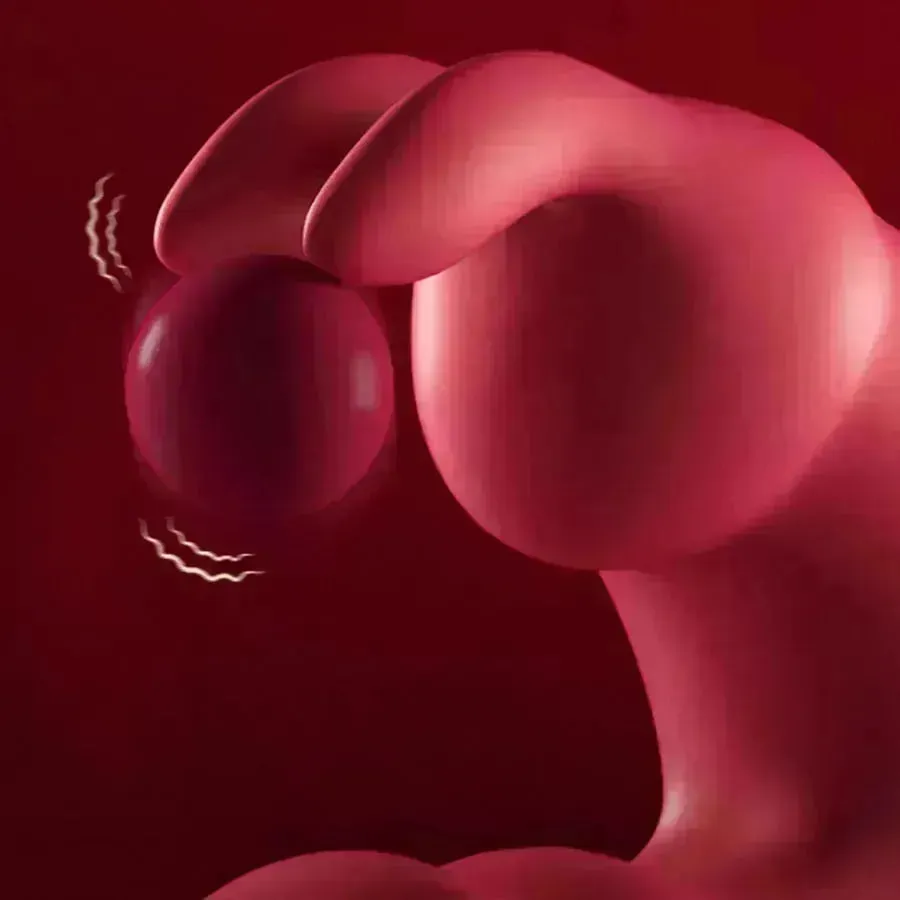 Xinghaoya Sliding Rings Bunny Vibrator